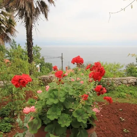 Апартаменты By The Sea Medveja, Opatija - 7852