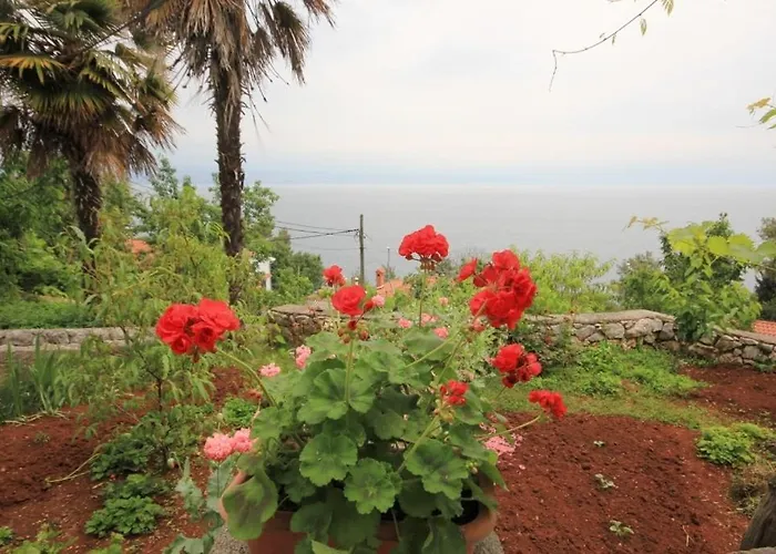 Lejlighed By The Sea Medveja, Opatija - 7852